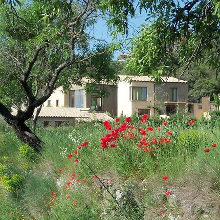 Alen D'Aragon Guest House Santa Eulalia de Gallego Luaran gambar